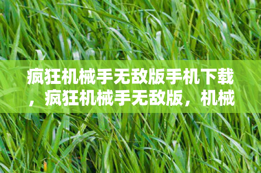 疯狂机械手无敌版手机下载，疯狂机械手无敌版，机械与激情的碰撞