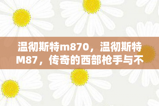 传奇的西部枪手与不朽的传奇图片