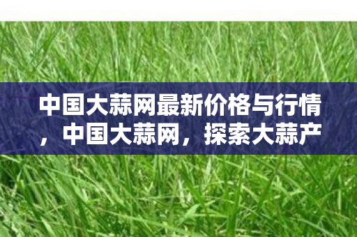 中国大蒜网最新价格与行情，中国大蒜网，探索大蒜产业的数字化之路