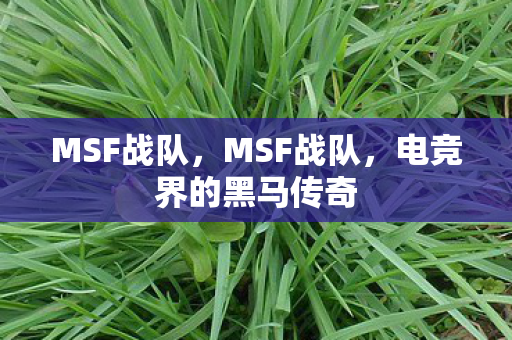 电竞界的黑马传奇图片