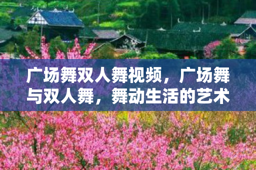 广场舞双人舞视频图片