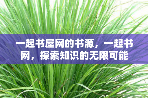 探索知识的无限可能图片