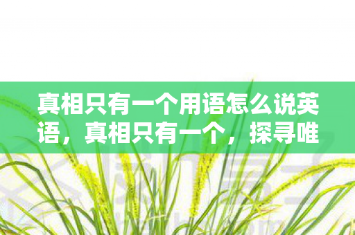 真相只有一个用语怎么说英语图片