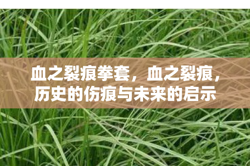 历史的伤痕与未来的启示图片