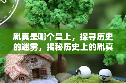 揭秘历史上的胤真图片