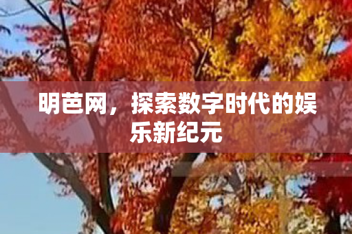 探索数字时代的娱乐新纪元图片