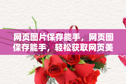 网页图片保存能手图片