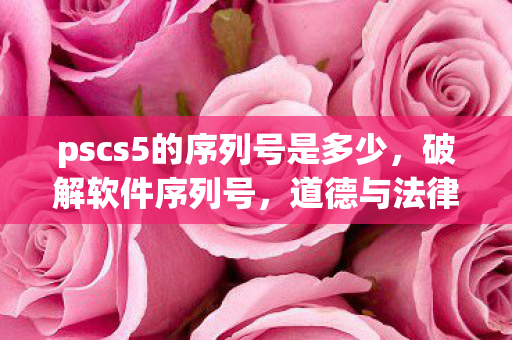 pscs5的序列号是多少图片