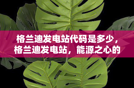 格兰迪发电站代码是多少图片