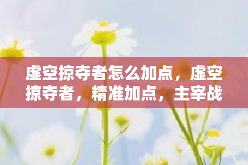 虚空掠夺者怎么加点图片