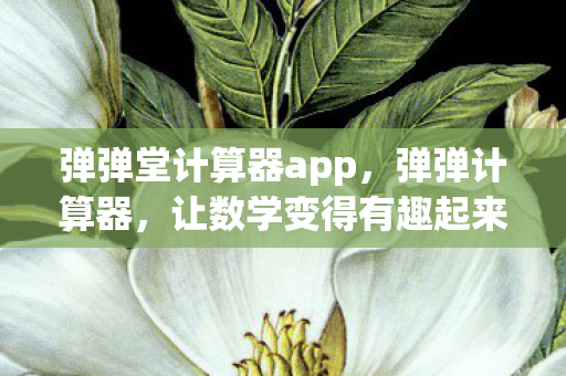 弹弹堂计算器app图片