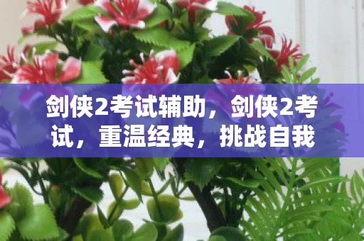 剑侠2考试辅助图片