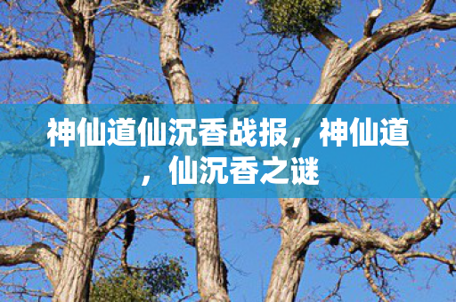 神仙道仙沉香战报图片