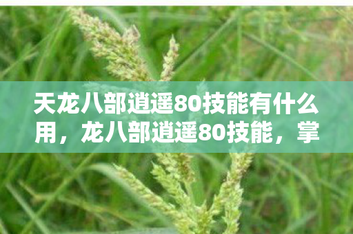 天龙八部逍遥80技能有什么用图片