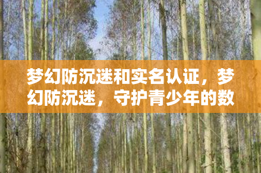 梦幻防沉迷和实名认证图片