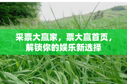 解锁你的娱乐新选择图片