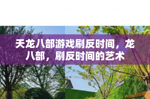 天龙八部游戏刷反时间图片