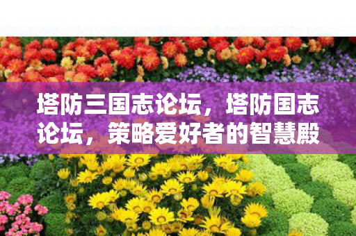 策略爱好者的智慧殿堂图片