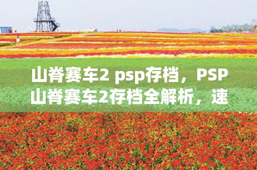 PSP山脊赛车2存档全解析图片