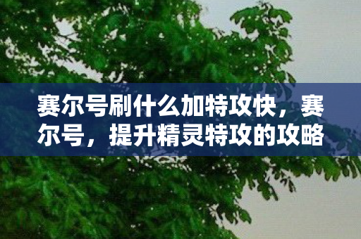 提升精灵特攻的攻略指南图片