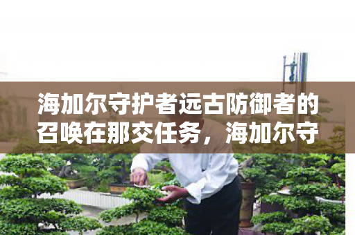 海加尔守护者远古防御者的召唤在那交任务图片