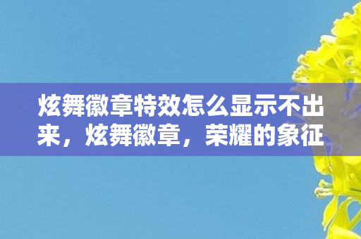 炫舞徽章特效怎么显示不出来，炫舞徽章，荣耀的象征，舞者的骄傲
