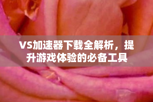 提升游戏体验的必备工具图片