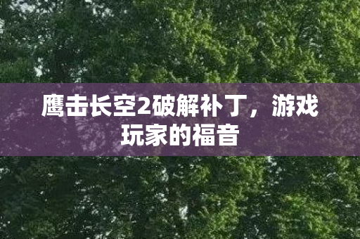 鹰击长空2破解补丁，游戏玩家的福音