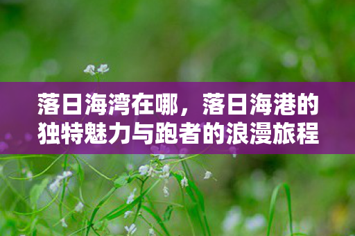 落日海湾在哪，落日海港的独特魅力与跑者的浪漫旅程