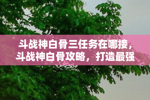斗战神白骨三任务在哪接图片