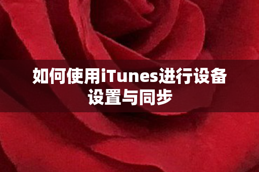 如何使用iTunes进行设备设置与同步图片