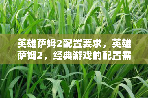 经典游戏的配置需求解析图片