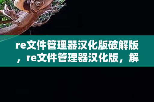 re文件管理器汉化版破解版图片