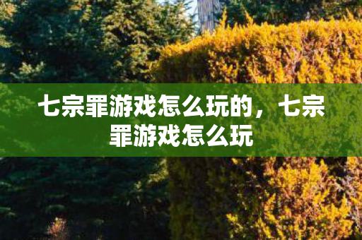 七宗罪游戏怎么玩的图片