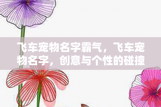 飞车宠物名字霸气图片