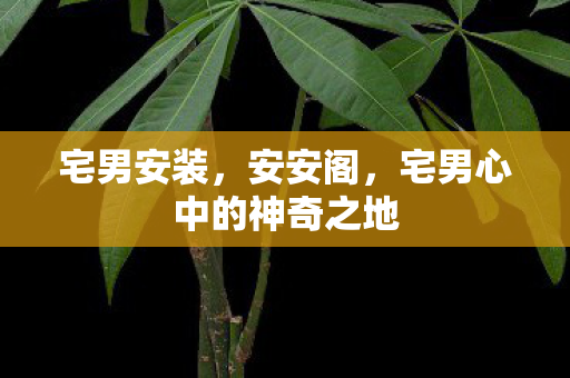 宅男心中的神奇之地图片