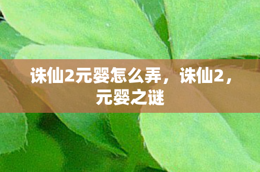 诛仙2元婴怎么弄图片