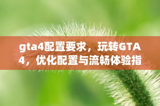 优化配置与流畅体验指南图片