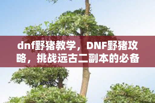 挑战远古二副本的必备指南图片