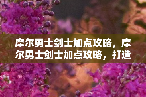 摩尔勇士剑士加点攻略图片