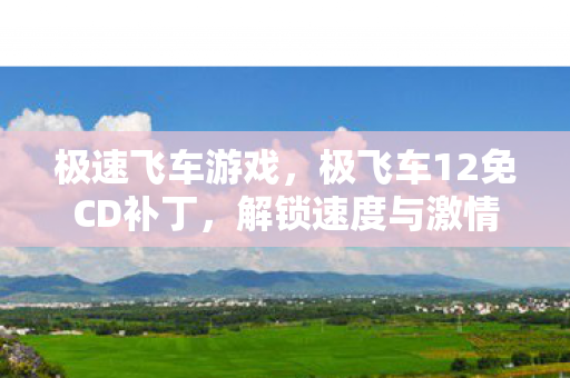 解锁速度与激情的必备神器图片