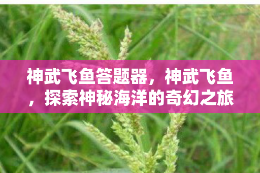 探索神秘海洋的奇幻之旅图片