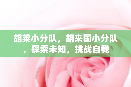 胡来国小分队图片