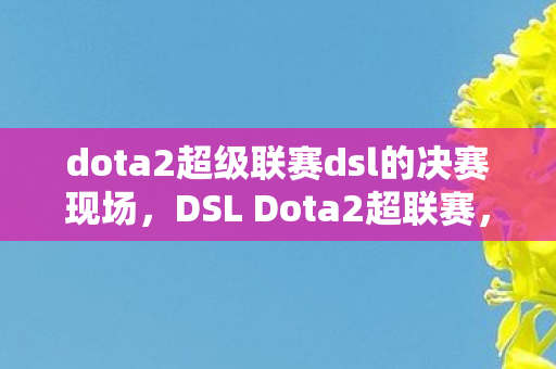 dota2超级联赛dsl的决赛现场图片