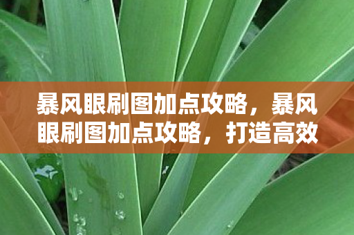 打造高效战斗力的关键图片