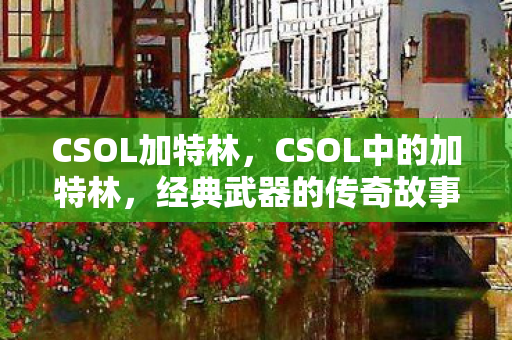 CSOL中的加特林图片