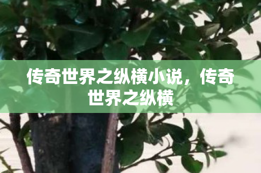 传奇世界之纵横小说图片