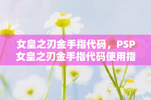PSP女皇之刃金手指代码使用指南图片