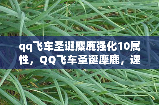 qq飞车圣诞麋鹿强化10属性，QQ飞车圣诞麋鹿，速度与梦幻的完美结合