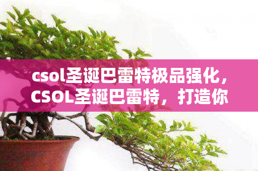 csol圣诞巴雷特极品强化图片